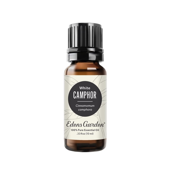 Edens Garden Camphor- White Essential Oil- 100% Pure Premium Grade, Undiluted, Natural, Therapeutic, Aromatherapy, The Best For Diffuser, Hair, Laundry, Humidifiers 10 ml (.33 fl oz)