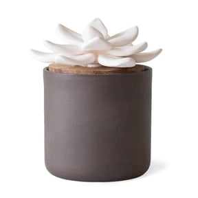 Edens Garden Charcoal Ceramic Bloom Diffuser – Handmade Wick Essential Oil Diffuser for Aromatherapy, Passive Wicking Flower Diffuser for Home & Office – No Power Needed, Elegant Scent Decor