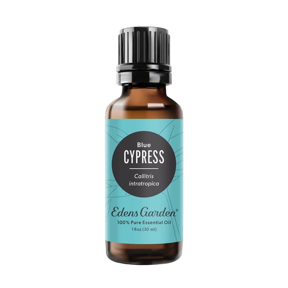 Edens Garden Cypress- Blue Essential Oil- 100% Pure Premium Grade, Undiluted, Natural, Therapeutic, Aromatherapy, The Best for Diffuser, Skin, Candle, Kid Safe 30 ml (1 fl oz)