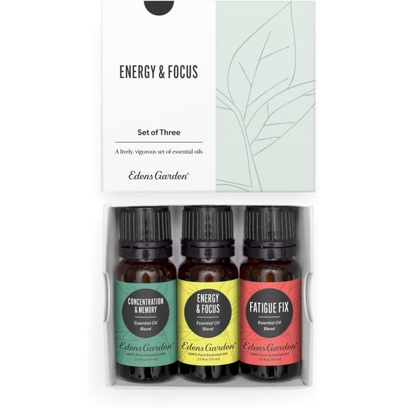 Edens Garden Energy & Focus Essential Oil 3 Set  100% Pure Therapeutic Grade Aromatherapy Blends Kit For Concentration, Memory & Fatigue Ideal For Diffuser,Massage, Home & Skin Care, 10 ml/ 3 Pack