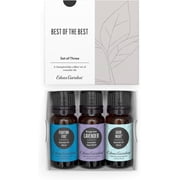 Edens Garden Essential Oils Best of the Best 3 Set   100% Pure Therapeutic Grade, Natural Aromatherapy Kit Fighting Five, Lavender & Good Night Blend For Diffusers & Home   Undiluted, 10 ml/ 3 Pack