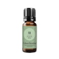 thumbnail image 1 of Edens Garden Fir Around The World Essential Oil- 100% Pure Premium Grade, Undiluted, Natural, Therapeutic, Aromatherapy, The Best for Diffuser, Skin, Candle, Laundry 10 ml (.33 fl oz), 1 of 9