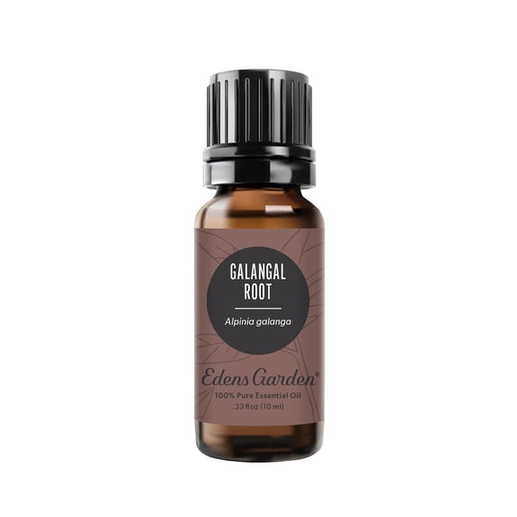 Edens Garden Galangal Root Essential Oil- 100% Pure Premium Grade, Undiluted, Natural, Therapeutic, Aromatherapy, The Best for Diffuser, Candle, Laundry, Humidifiers 10 ml (.33 fl oz)