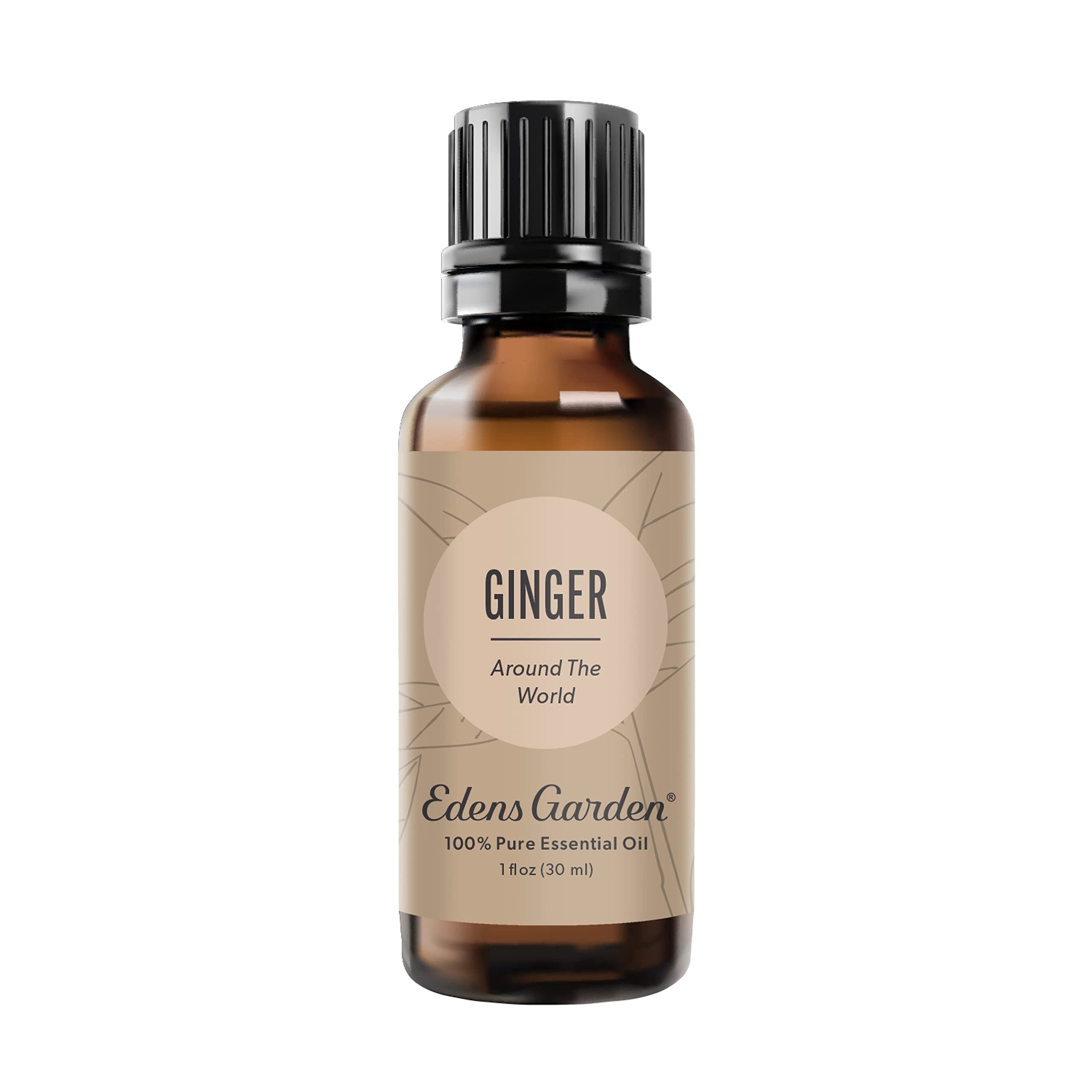 Edens Garden Ginger Around The World Essential Oil- 100% Pure Premium Grade, Undiluted, Natural, Therapeutic, Aromatherapy, The Best for Diffuser, Skin, Candle, Laundry 30 ml (1 fl oz)