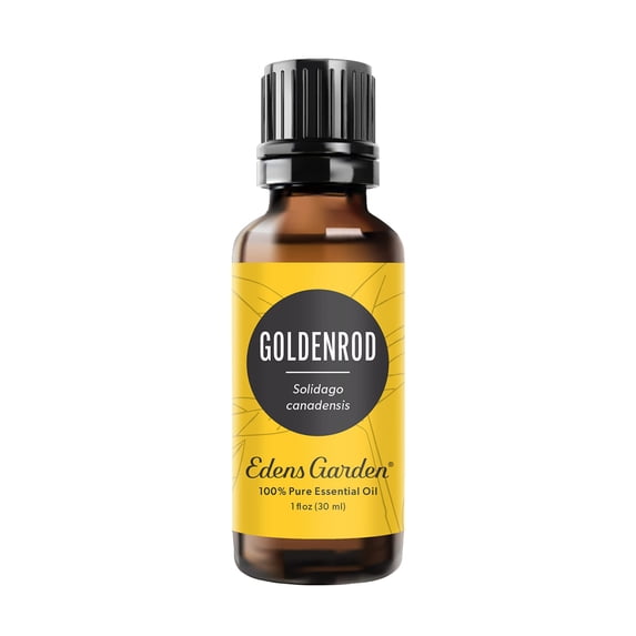 Edens Garden Goldenrod Essential Oil- 100% Pure Premium Grade, Undiluted, Natural, Therapeutic, Aromatherapy, The Best for Diffuser, Skin, Face, Humidifiers 30 ml (1 fl oz)