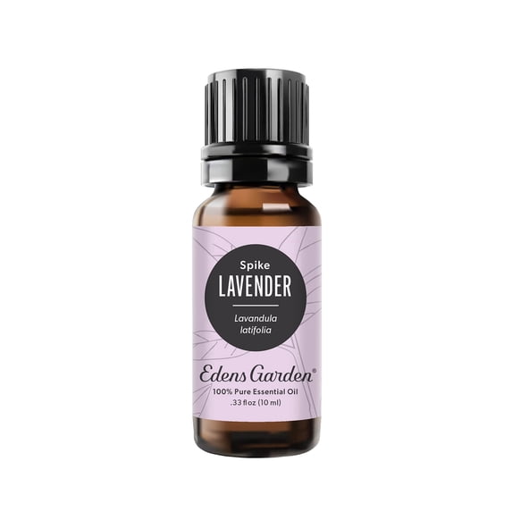 Edens Garden Lavender- Spike Essential Oil- 100% Pure Premium Grade, Undiluted, Natural, Therapeutic, Aromatherapy, The Best for Diffuser, Candle, Laundry, Humidifiers 10 ml (.33 fl oz)
