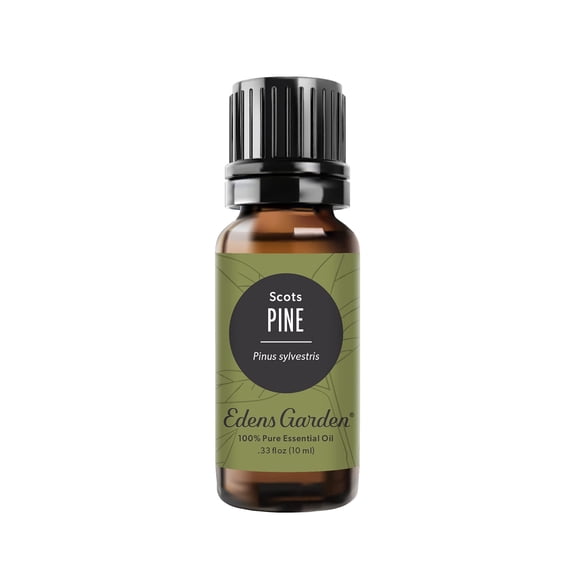 Edens Garden Pine- Scots Essential Oil- 100% Pure Premium Grade, Undiluted, Natural, Therapeutic, Aromatherapy, The Best for Diffuser, Candle, Humidifiers, Kid Safe 10 ml (.33 fl oz)