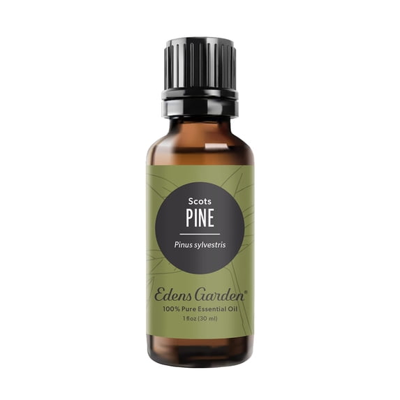 Edens Garden Pine- Scots Essential Oil- 100% Pure Premium Grade, Undiluted, Natural, Therapeutic, Aromatherapy, The Best for Diffuser, Candle, Humidifiers, Kid Safe 30 ml (1 fl oz)