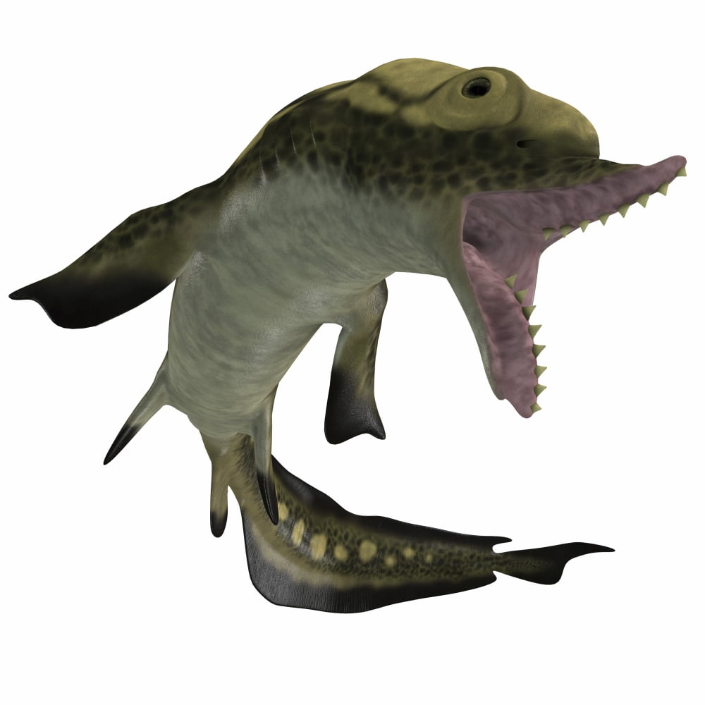 Edestus shark of the Carboniferous period Canvas Art - Corey FordStocktrek Images (28 x 28)