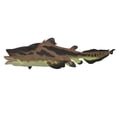 thumbnail image 1 of Edestus shark  white background Poster Print by Corey Ford/Stocktrek Images, 1 of 1