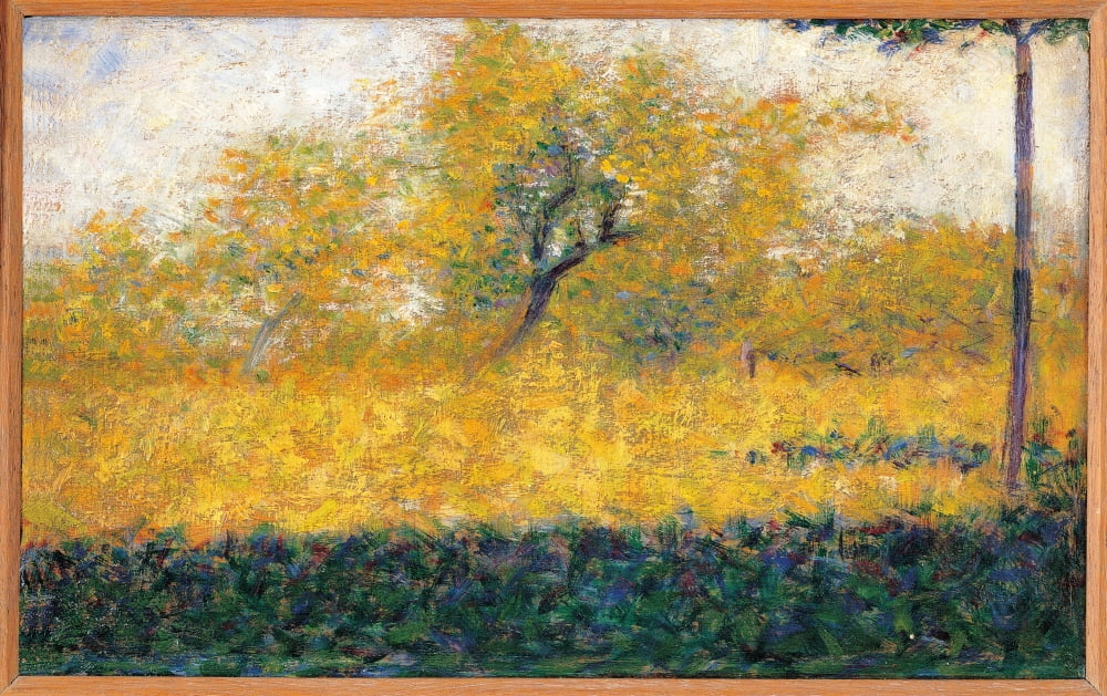 Edge Of Wood Canvas Art - (24 x 18)