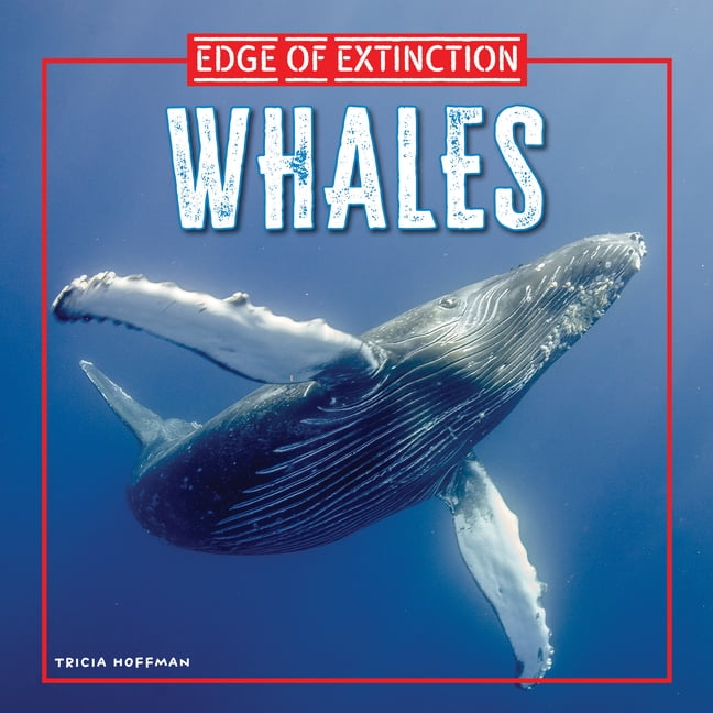 Edge of Extinction Whales, (Hardcover)