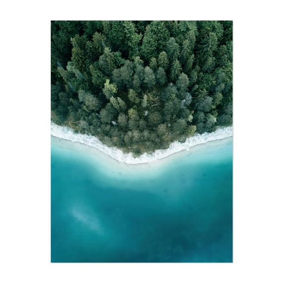 Edge of the Forest - Photography Forest Nature Landscape Coastal Wilderness Abstract Scenic Unframed Wall Art Print 24 x 30 inches