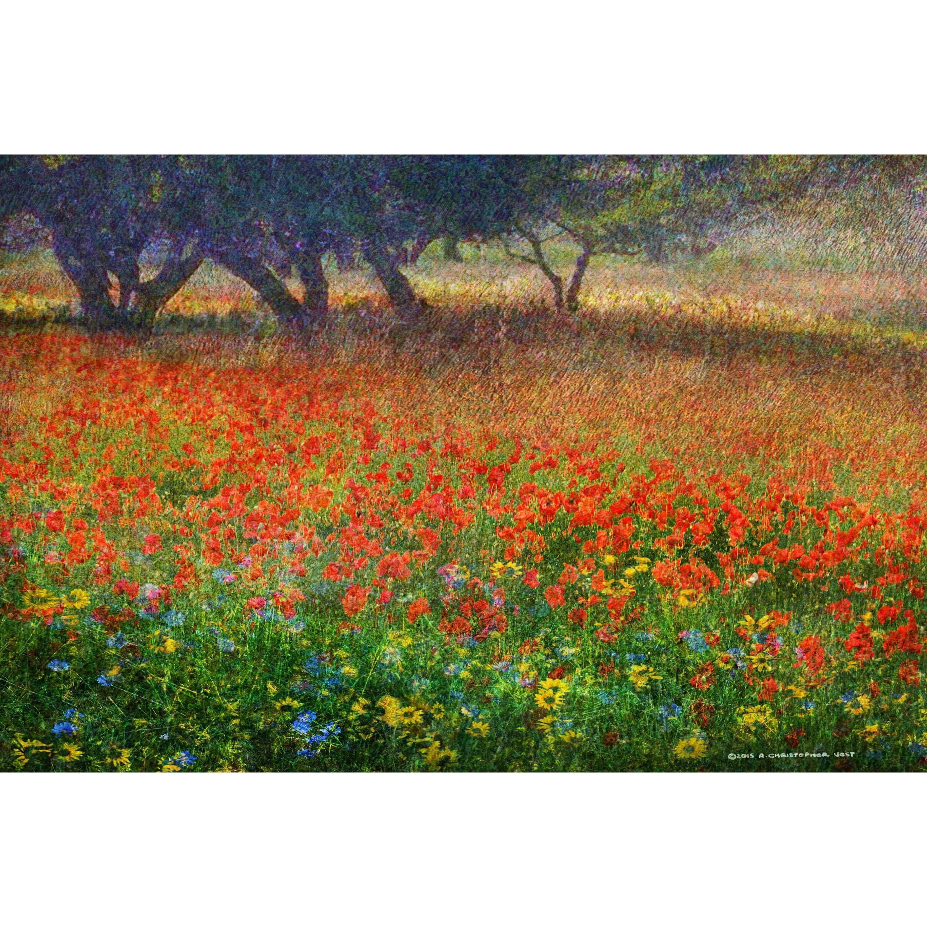 "Edge of the Orchard" Painting Print on Wrapped Canvas