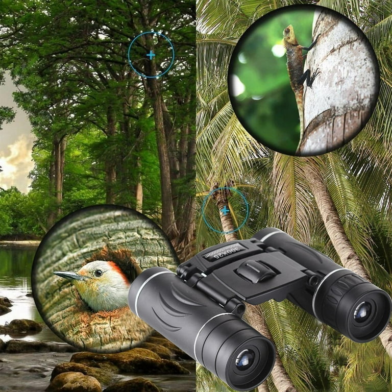 Powerful Binoculars Best Lightweight Binoculars For Hiking Best