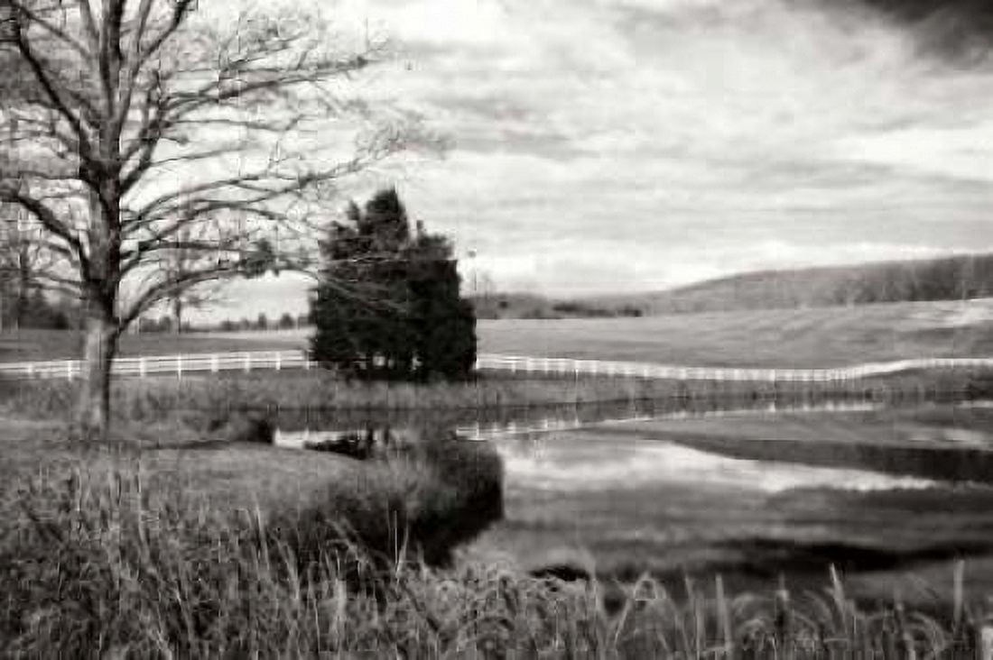 Edgeworth Farm I Canvas Art - Alan Hausenflock (20 x 28)
