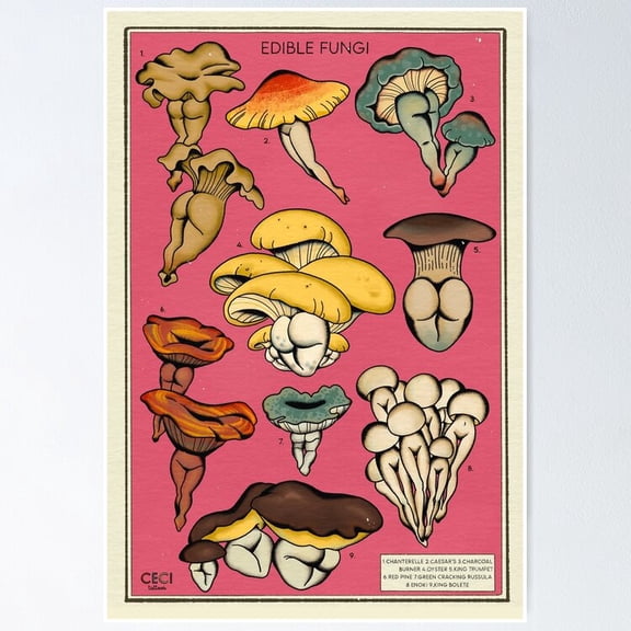 Edible Mushrooms Educational Botanical Species Chart Wall Art Kitchen Decor, Unframed Poster