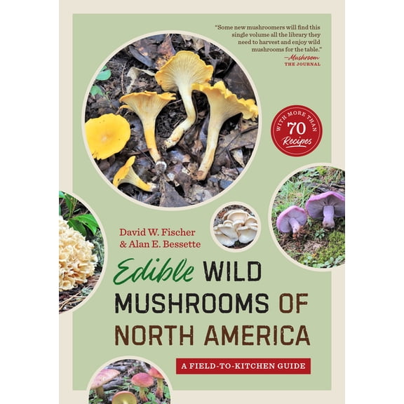 Edible Wild Mushrooms of North America: A Field-To-Kitchen Guide, (Paperback)
