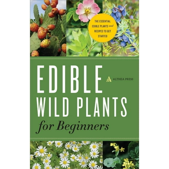 Edible Wild Plants for Beginners : The Essential Edible Plants and Recipes to Get Started (Paperback)