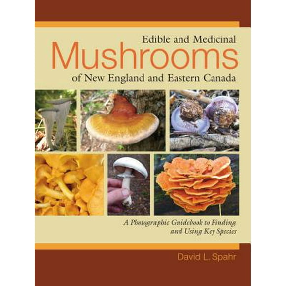Edible and Medicinal Mushrooms of New England and Eastern Canada : A Photographic Guidebook to Finding and Using Key Species (Paperback)
