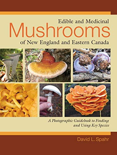 Pre-Owned Edible and Medicinal Mushrooms of New England and Eastern Canada: A Photographic Guidebook to Finding and Using Key Species (Paperback) 1556437951 9781556437953