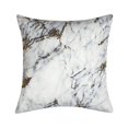 thumbnail image 1 of Edie at Home EAH058XXMARBA4 14 x 20 in. Precious Metals Digital Printed Canvas Pillow  Marble, 1 of 3