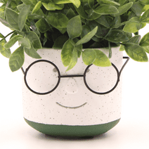 Edington Decor Face Planter Pot, Head Planter Pot, Succulent Pot with Drainage, 4 inch Unique Cute Plant Pot with Glasses for Indoor Plants (Green)