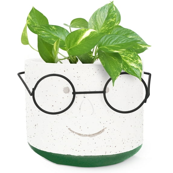 Edington Decor Face Planter Pot with Drainage, Cute 4 inch Cement Plant Pot with Glasses (Green)