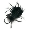 thumbnail image 1 of Ediodpoh Delicate Feather Hairband for Women Versatile Headpiece for Parties Performances and Elegant Floral Themed Events Black, 1 of 3