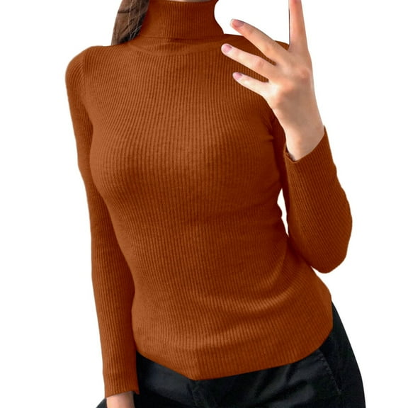 Ediodpoh Turtleneck Pullover Sweater Classic Knit Top Versatile Fall Soft Comfortable Sweaters for Women for Casual Style Brick Red