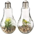 thumbnail image 1 of Edison Light Up Succulent Garden Terrariums, Set of 2, Clear Glass, Pebbles, Plastic and LED Blub, Push-Button On/Off Switch, 9 Inches, Batteries Included, 1 of 9