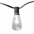 thumbnail image 1 of Edison Style String Lights - 10 Lights, 1 of 1
