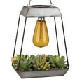 thumbnail image 1 of Edison Succulent Solar Lantern - Pyramid, 1 of 5
