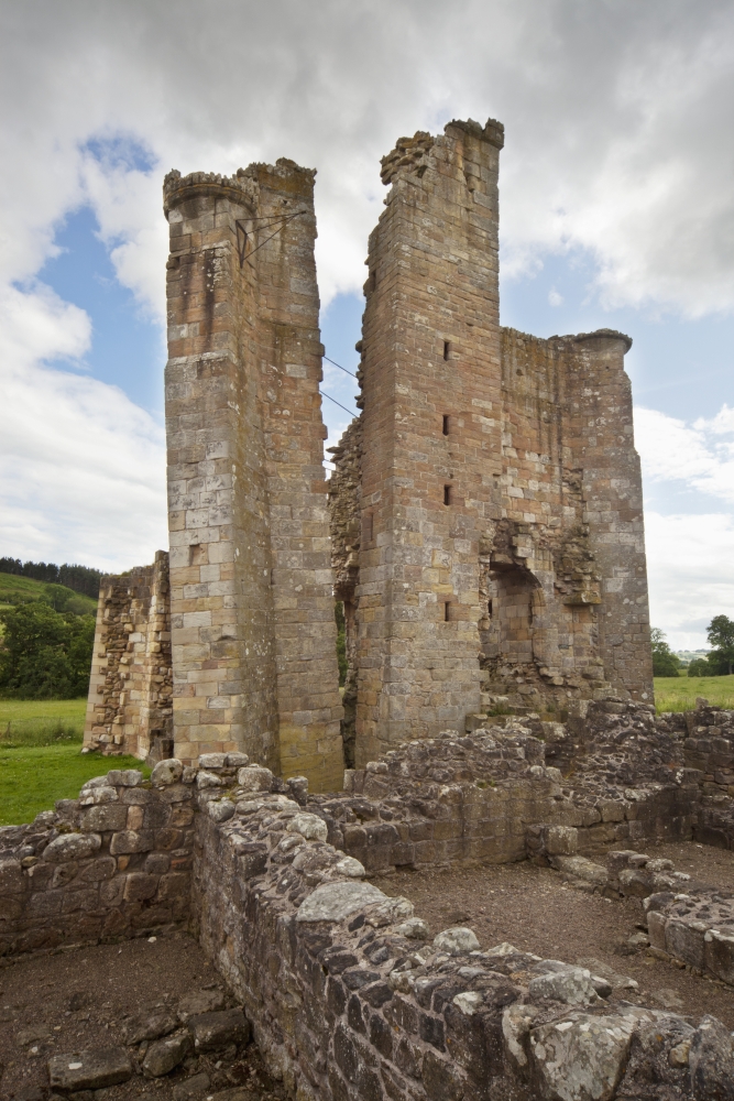 Edlingham Castle Northumberland England Canvas Art - John Short Design Pics (24 x 38)