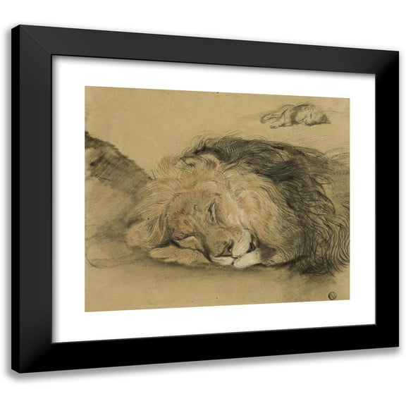 Edmé Saint-Marcel 17x15 Black Modern Framed Museum Art Print Titled - Lion's Head and Sketch of a Lion