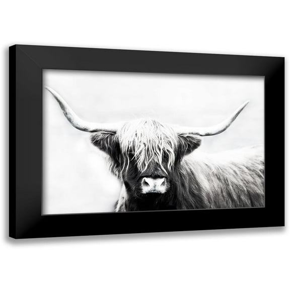 Edmonds, Cora 14x11 Black Modern Framed Museum Art Print Titled - Highland Longhorn