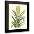 thumbnail image 1 of Edmonston-Douglas 15x18 Black Modern Framed Museum Art Print Titled - Tropical Fancy II, 1 of 5