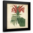 thumbnail image 1 of Edmonston and Douglas 15x18 Black Modern Framed Museum Art Print Titled - Tropical Floral V, 1 of 5