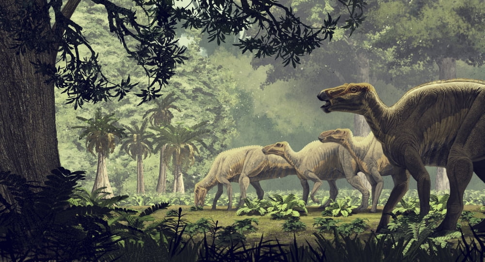 Edmontosaurus annectens a hadrosaurid from the Late Cretaceous period Canvas Art - Roman Garcia MoraStocktrek Images (19 x 11)