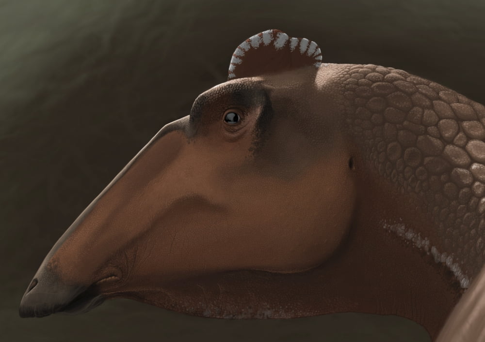 Edmontosaurus regalis dinosaur portrait Canvas Art - Michele DessiStocktrek Images (17 x 12)