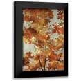 thumbnail image 1 of Edmunds, Sydney 13x18 Black Modern Framed Museum Art Print Titled - Autumns Gold, 1 of 5