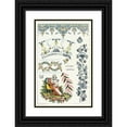 thumbnail image 1 of Edouard Garnier 17x24 Black Ornate Framed Double Matted Museum Art Print Titled: Pl.7 Ceramics Dictionary (1893), 1 of 5