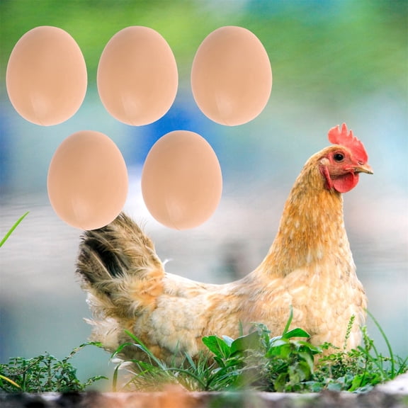 Education Puzzle Toy Eggs 5 Hen Eggs Insertion Practice Model for Learning and Hands-on Assembly