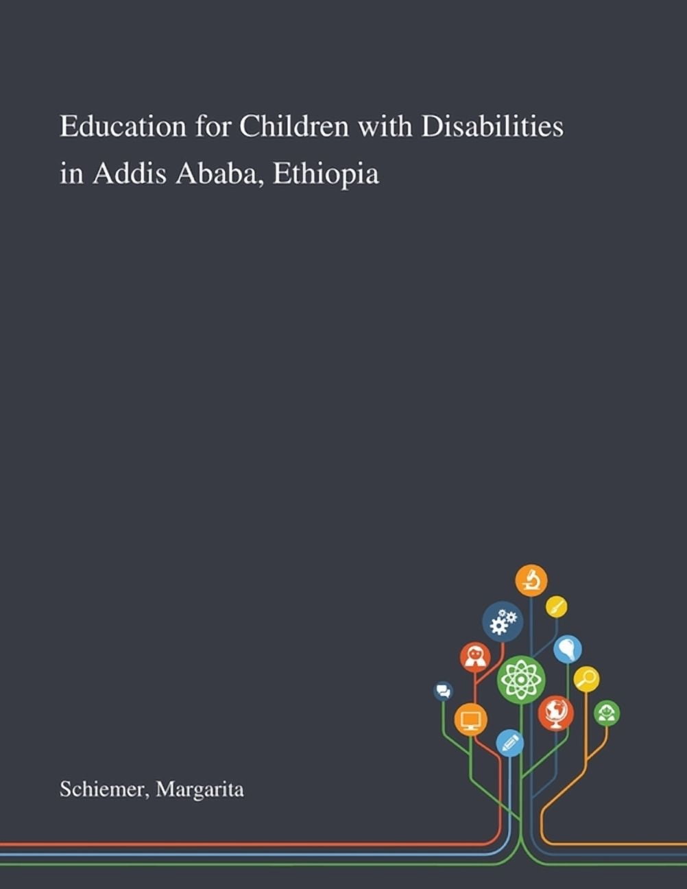 Education for Children With Disabilities in Addis Ababa, Ethiopia ...