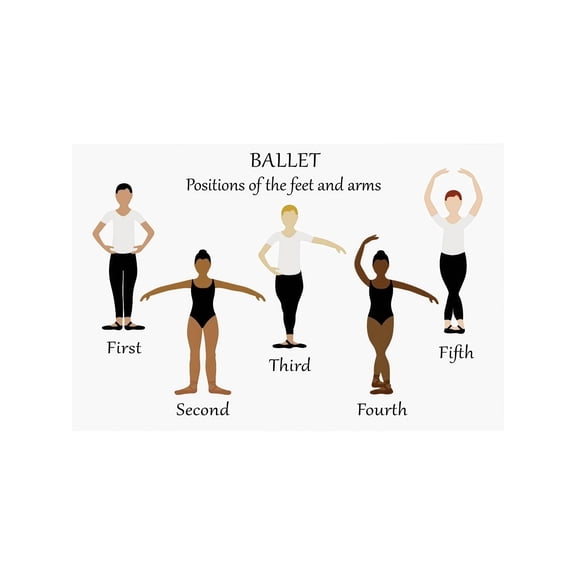 Educational Ballet Positions Poster Feet Arms Poses Chart Dance Training Guide Wall Art for Beginners Studio Home Decor Practice