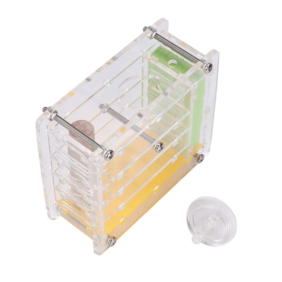 Educational Display Ant Breeding Box, Formicarium Insect Nest With Durable Acrylic Construction For Safety, Water Tower Feature Maintains Optimal Humidity, Transparent Red Cover