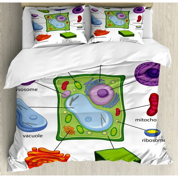 Educational Duvet Cover Set Queen Size, Chart Showing Plant Cell Components in Cartoon Style Science Living Structure, Decorative 3 Piece Bedding Set with 2 Pillow Shams, Multicolor, by Ambesonne