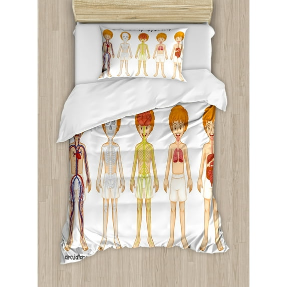 Educational Duvet Cover Set Twin Size, Different Systems in Human Nervous Skeletal Digestive Body Anatomy Young Kids, Decorative 2 Piece Bedding Set with 1 Pillow Sham, Multicolor, by Ambesonne