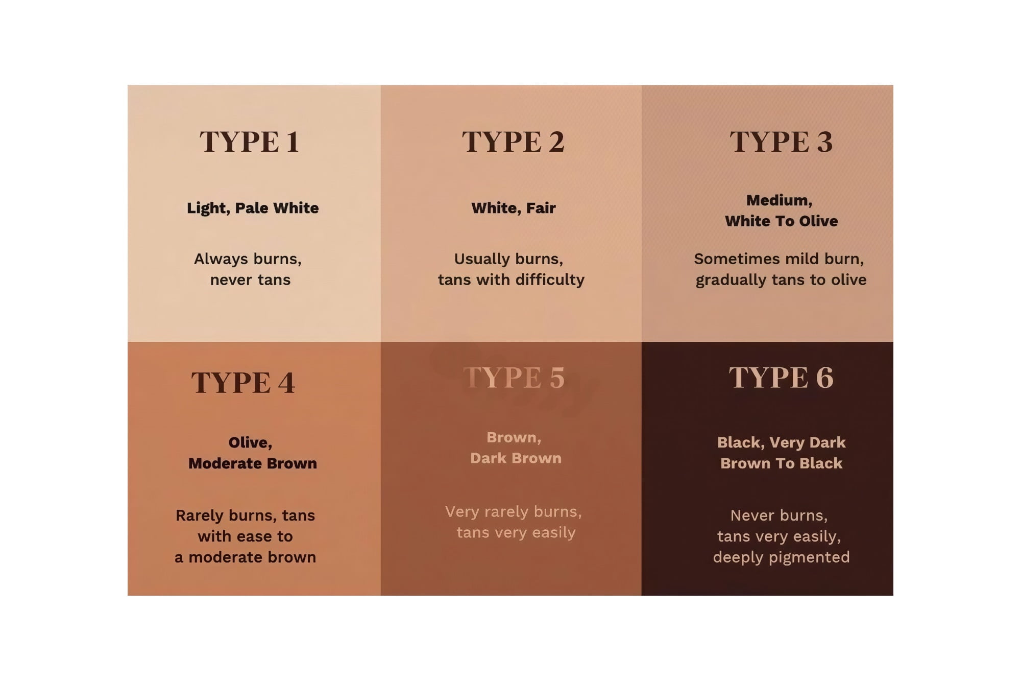 Educational Fitzpatrick Scale Poster Skin Tone Chart Detailed Reference ...