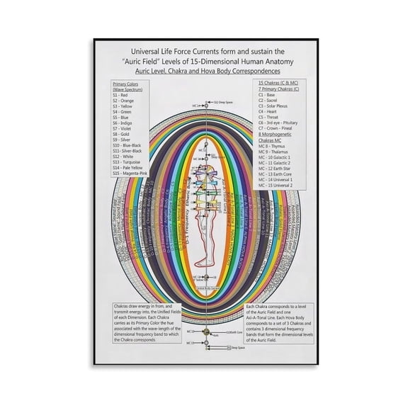 Educational Human Energy Field Poster, Illustrated Chakra and Anatomy Chart for Alternative Therapy Office and Classroom Decor
